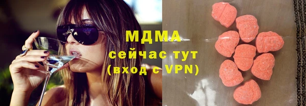 индика Богородск