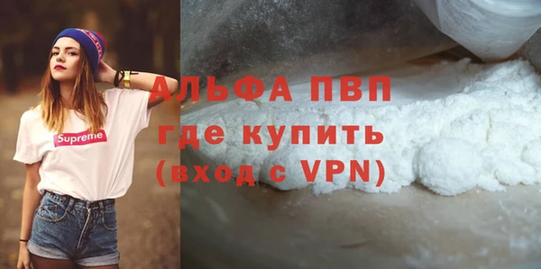 индика Богородск