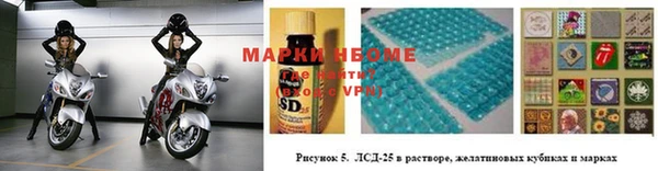 ECSTASY Дмитриев