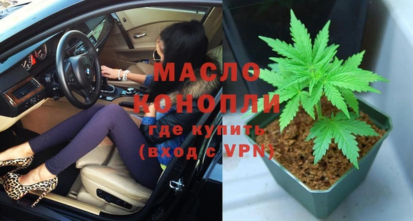 индика Богородск