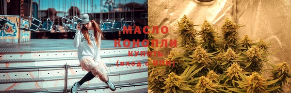 индика Богородск