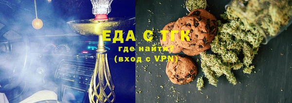 индика Богородск
