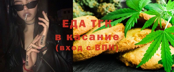 индика Богородск