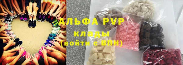 индика Богородск