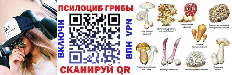 Псилоцибиновые грибы Psilocybine cubensis  KRAKEN ССЫЛКА  Балтийск 
